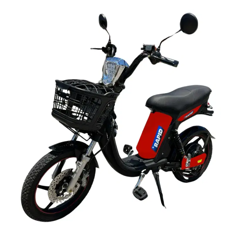 MOTOCICLETA JCH   [ WOLF 250  ]